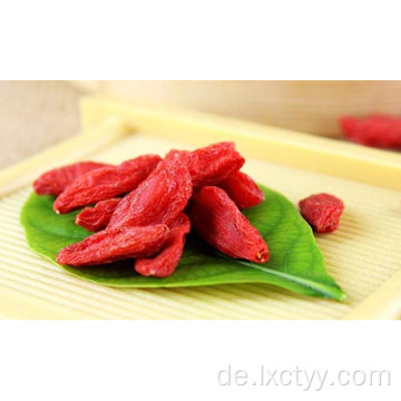 Import von Bio-Goji-Beeren